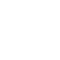 icono seguridad